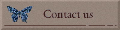 contact us banner